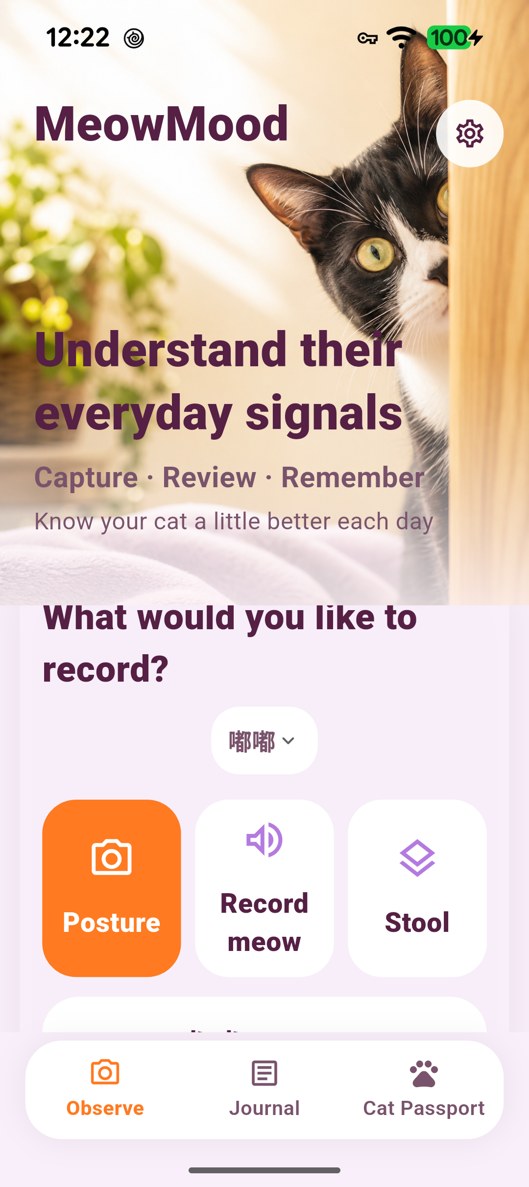 MeowMood English home screen