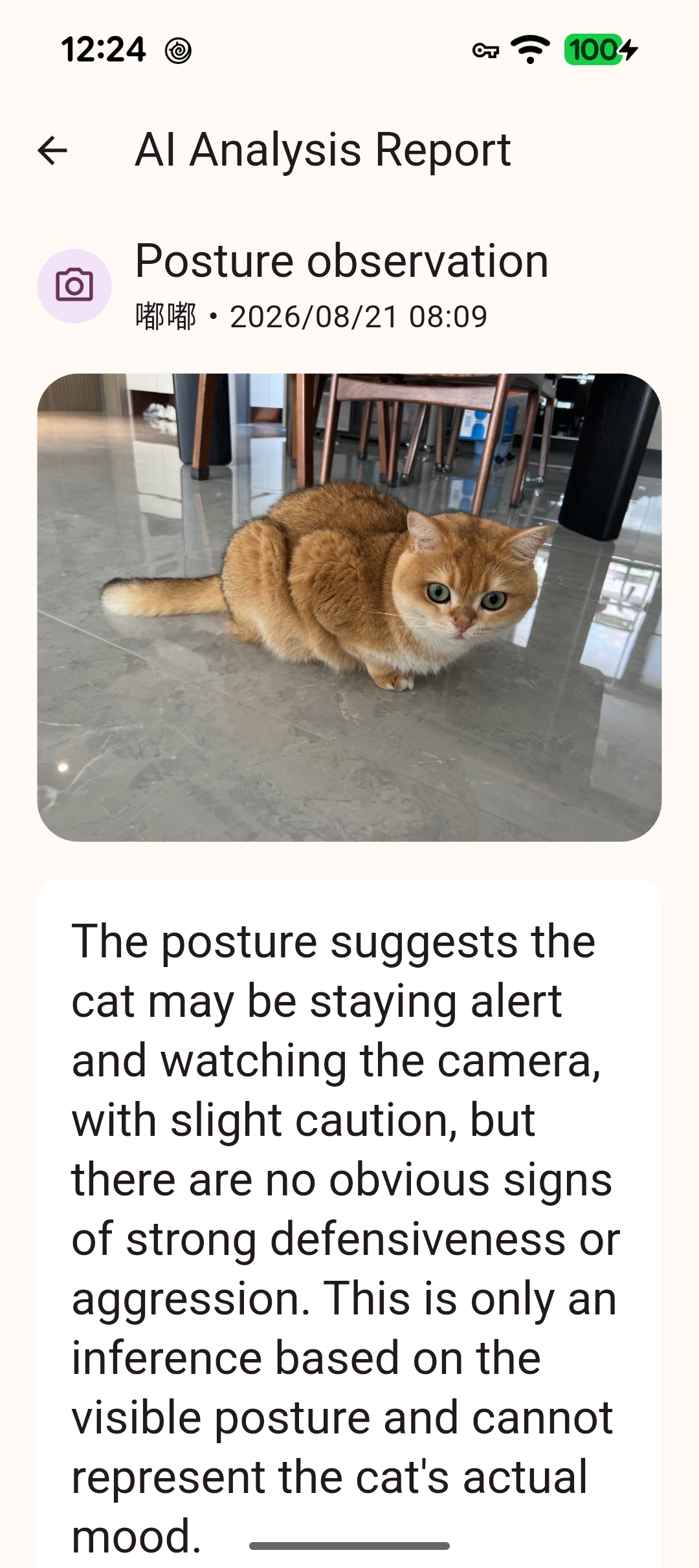 MeowMood posture observation result screen